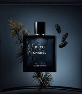 شانيل بلو دي – أو دو برفيوم للرجال 2